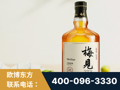 当阳-梅见青梅酒